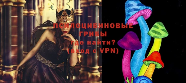 прущая мука Аркадак