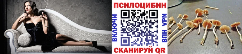 закладки  Болхов  Псилоцибиновые грибы GOLDEN TEACHER 